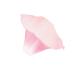 Amiy Slider Flower Bottom Left Img